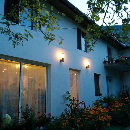 Pension Casa Anadam Băile Herculane Exteriör bild
