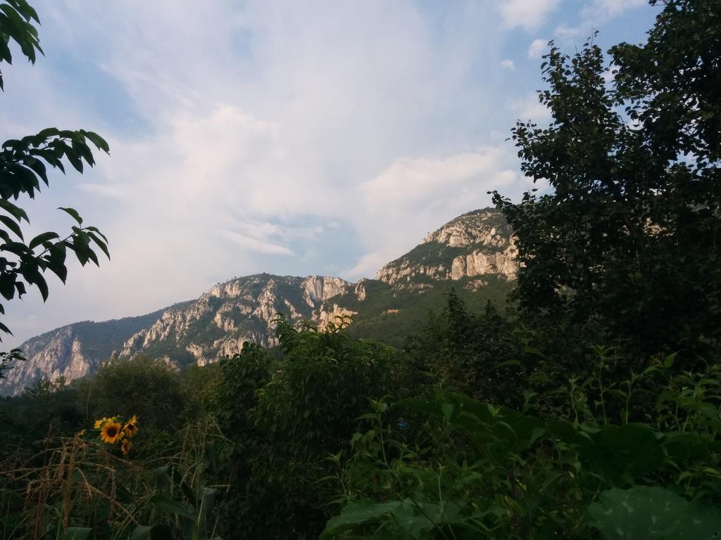 Pension Casa Anadam Băile Herculane Exteriör bild