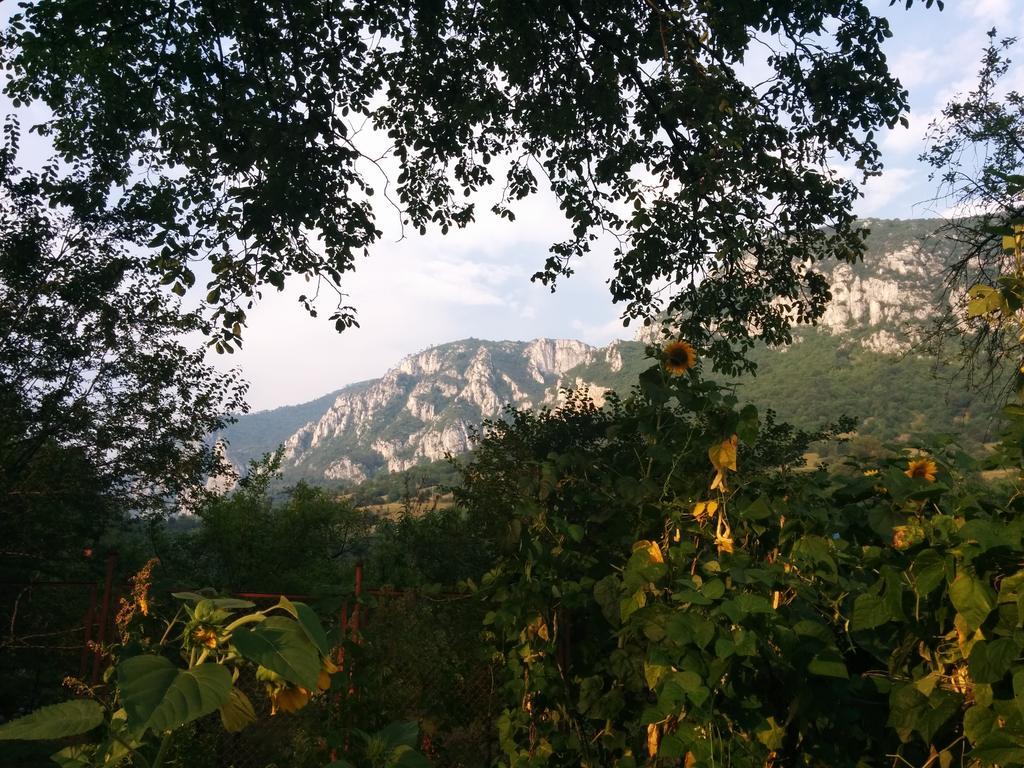 Pension Casa Anadam Băile Herculane Exteriör bild