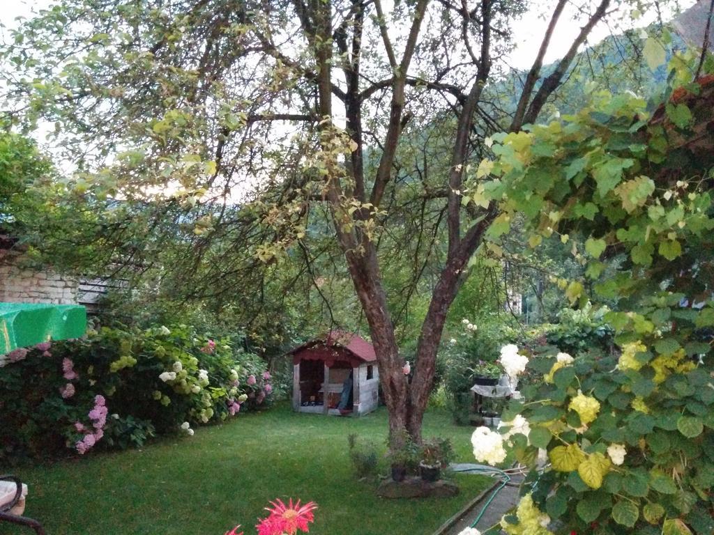 Pension Casa Anadam Băile Herculane Exteriör bild