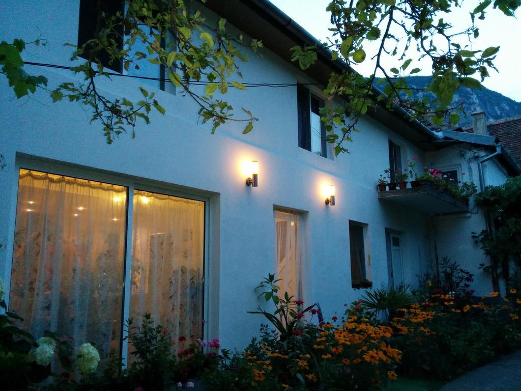Pension Casa Anadam Băile Herculane Exteriör bild