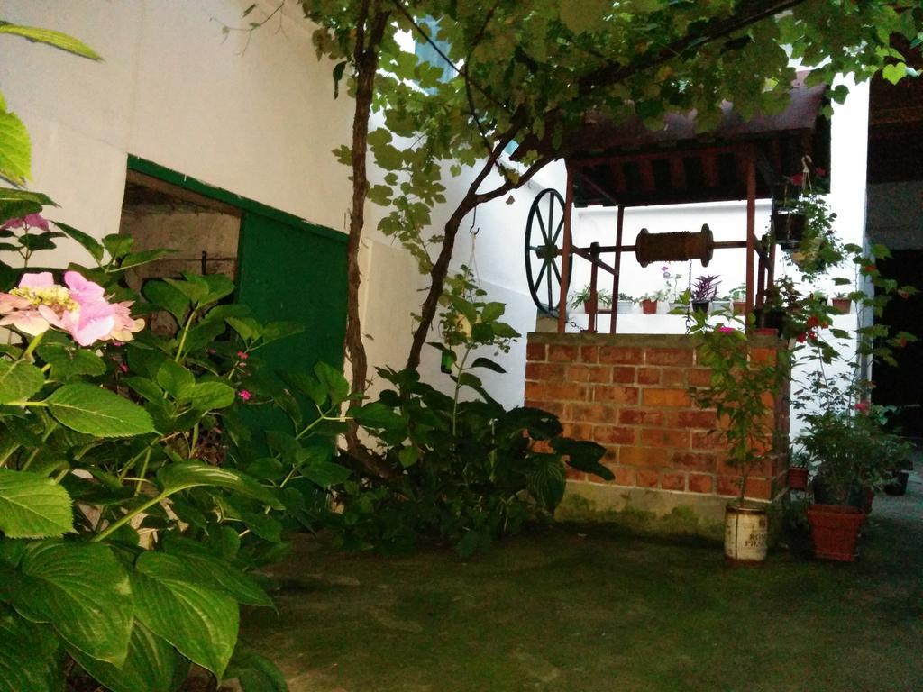 Pension Casa Anadam Băile Herculane Exteriör bild