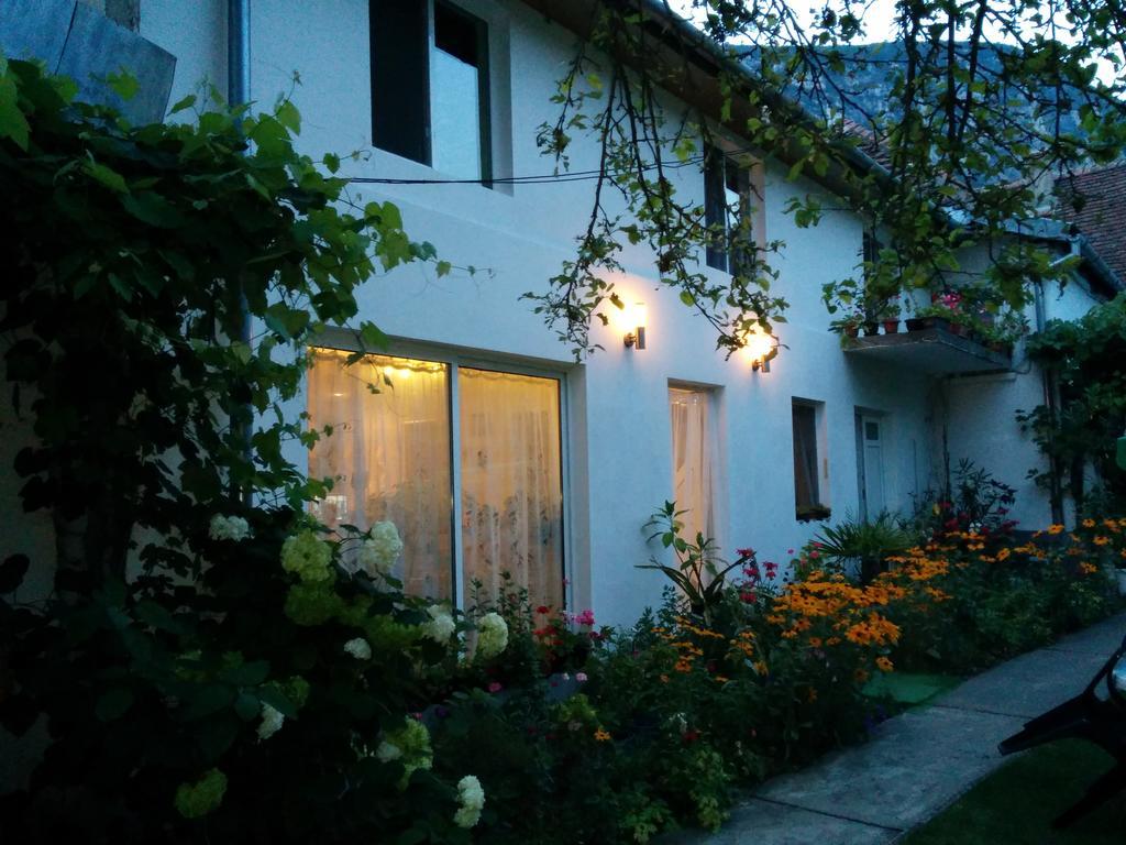 Pension Casa Anadam Băile Herculane Exteriör bild