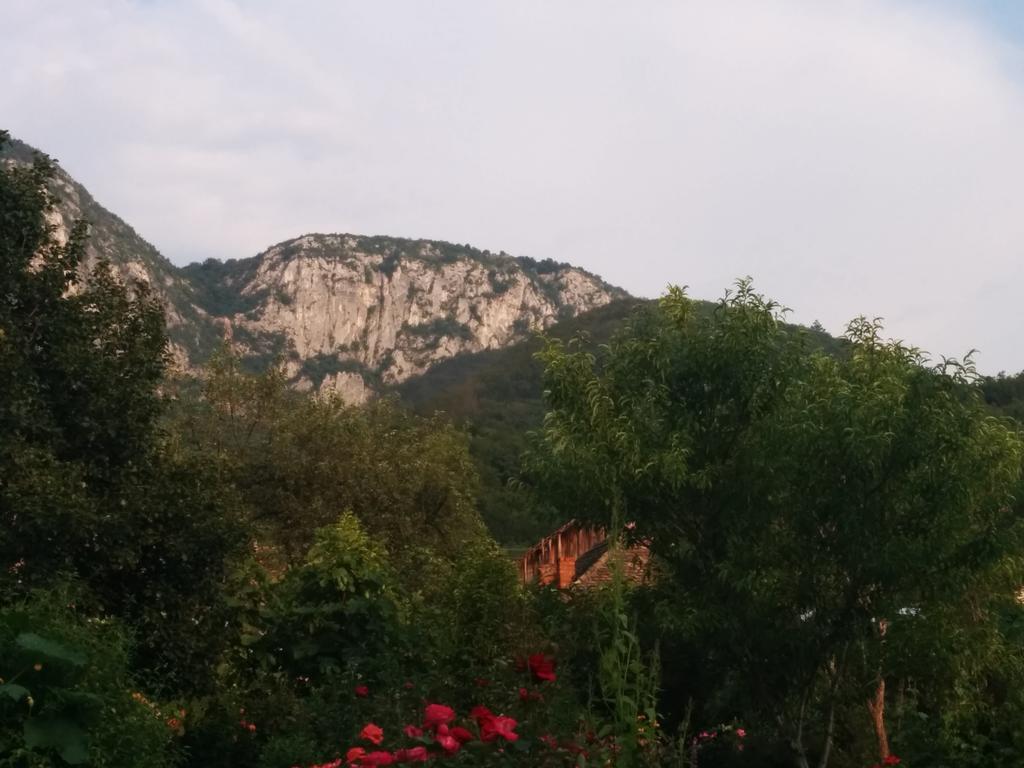 Pension Casa Anadam Băile Herculane Exteriör bild